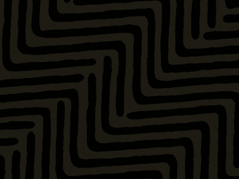 Excited Lil Jon Says What GIF