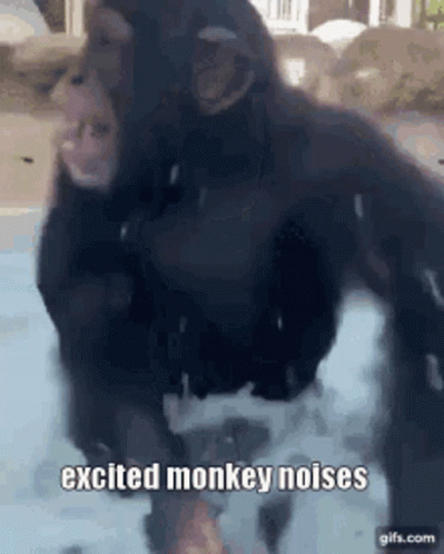 Excited Monkey Noises