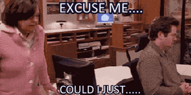 Excuse Me Can I Just Gif GIF