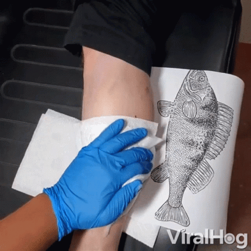 Expectation Versus Reality Tattoo GIF