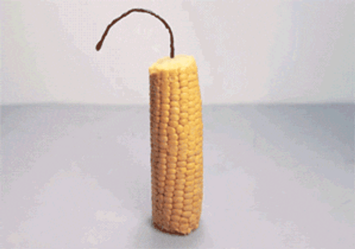 Exploding Corn Making Pop Corns GIF