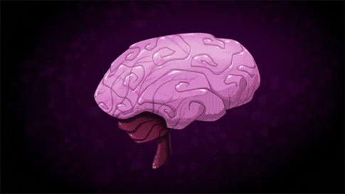 Exploding Head Brain GIF
