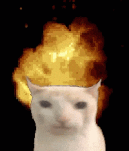 Explosion Cat Gif GIF