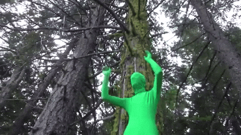 Explosion Green Screen Man Dancing Into Forest GIF