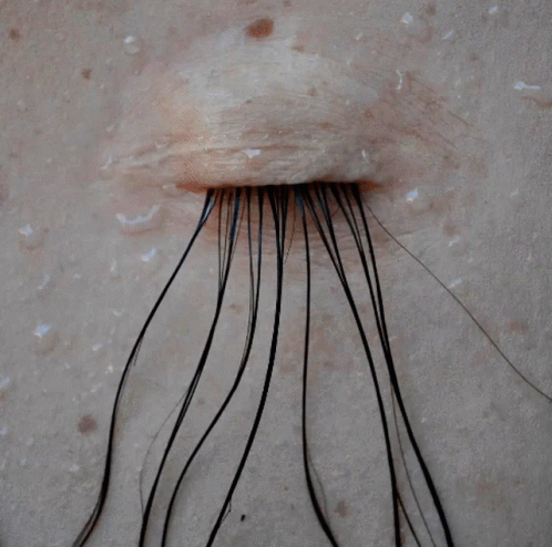 Extra Long Eyelashes Extension GIF