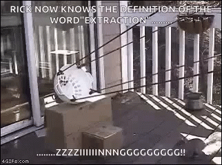 Extraction Squirrel GIF