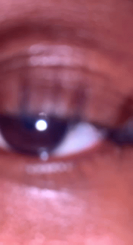 Eye To Eye Boomerang Shot GIF