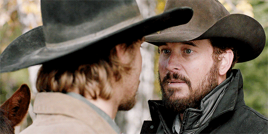 Eye To Eye Contact Rip Yellowstone GIF