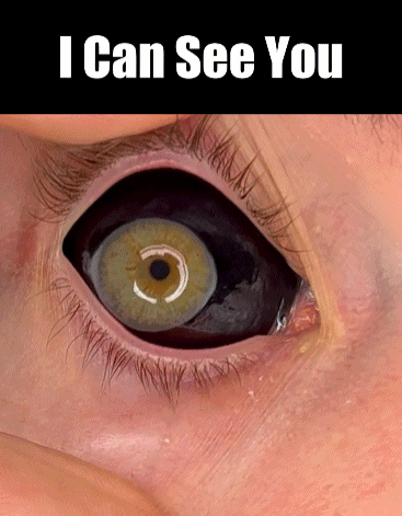 Eye To Eye I Can See You GIF