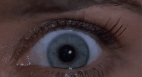 Eye To Eye Stay Open GIF