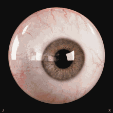Eyeball Looking Around GIF