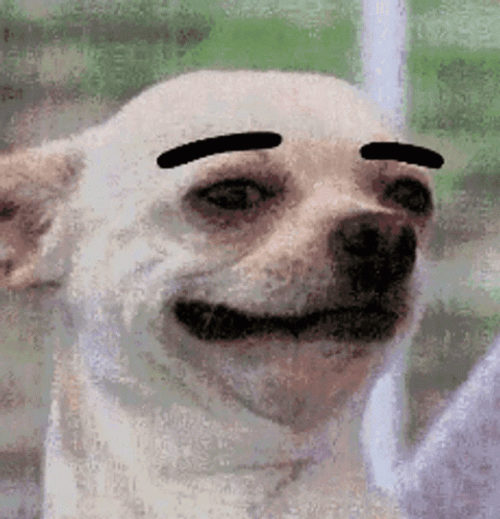 Eyebrow GIF