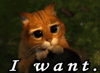 Eyes Pleading Cat I Want That GIF