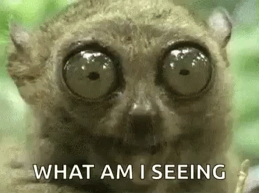 Eyes Popping Out What Am I Seeing GIF