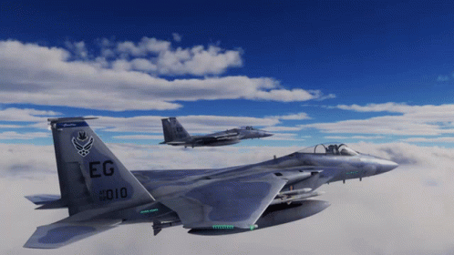 F22 Raptor Flying Bee In Cockpit GIF