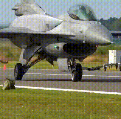 F22 Raptor Pilot Mimicking Swaying GIF