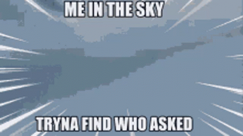 F22 Raptor Who Asked Sky Search GIF