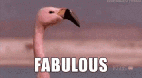 Walking Flamingo Fabulous GIF