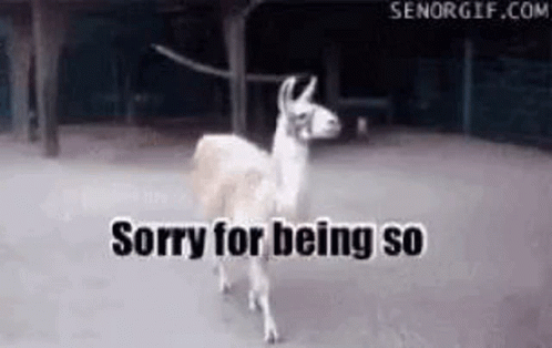 Sorry For Being So Fabulous GIF