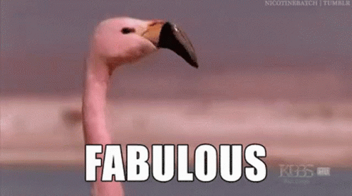 Fabulous Flamingo GIF