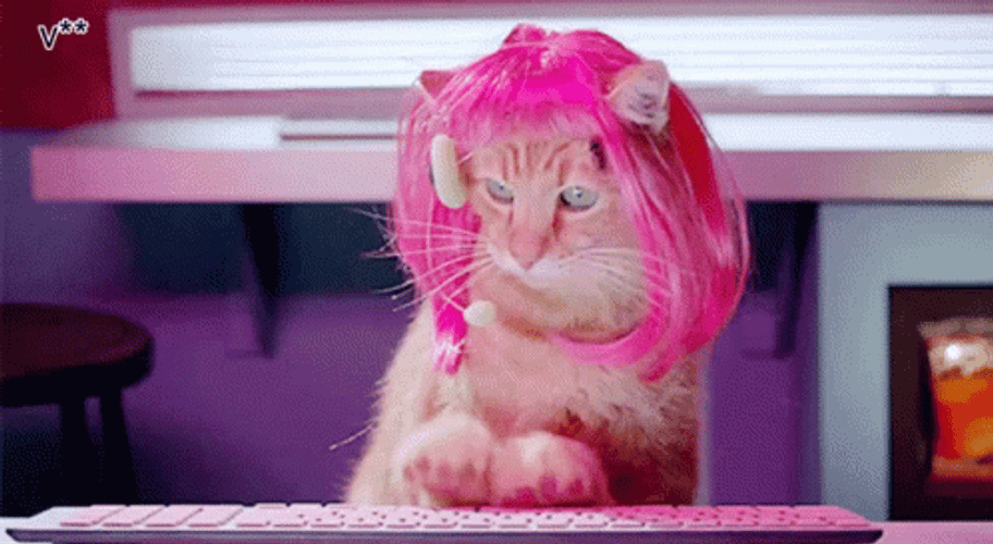 Fabulous Pink Haired Cat Typing Fast GIF