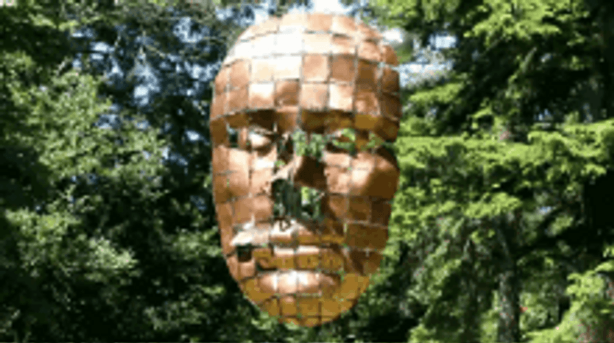 Face Kinetic Sculpture GIF