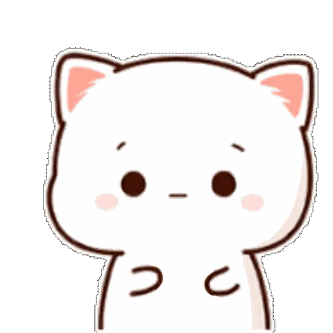 Face-Making White Cat