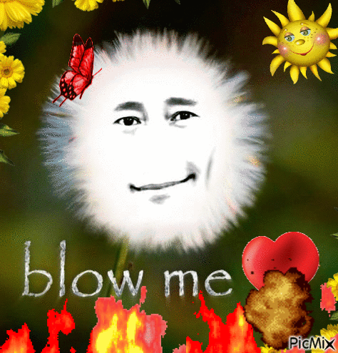 Face Saying Blow Me