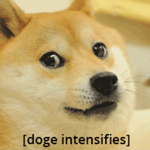 Face Shock Doge Meme GIF