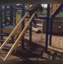 Hanging Kid Slide Faceplant Landing GIF