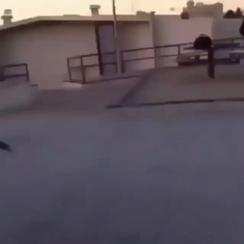 Hilarious Tumbling Fail Faceplant GIF