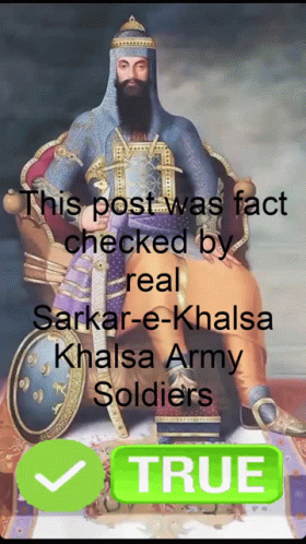 Fact Check Patriot GIF