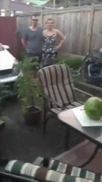 Fail Watermelon Slice GIF