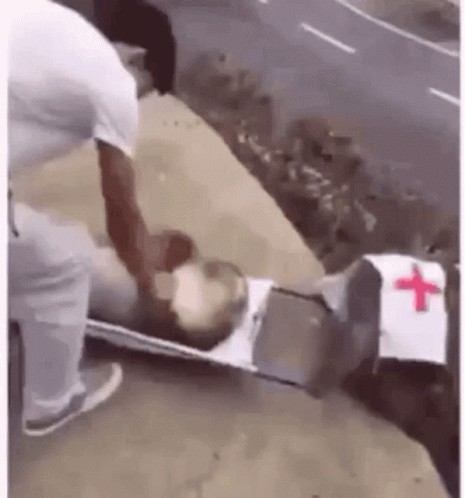 Failed Makeshift Ambulance Monkeys GIF