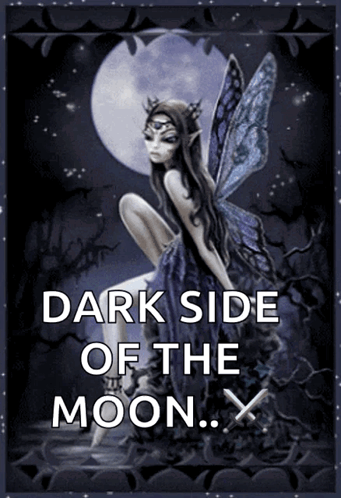 Fairy Saying Dark Side of the Moon
