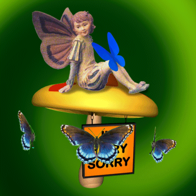 Fairy Sitting on Mushroom With Butterflies and Sorry Sign