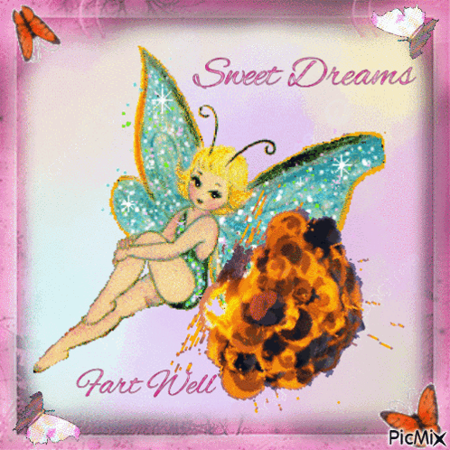 Fairy Sweet Dreams and Fart Well