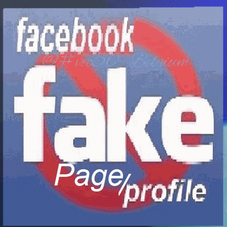 Fake Facebook Page And Profile GIF