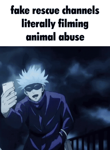 Fake Rescue Channels Literally Filming Animal Abuse With A Man Taking A Selfie GIF