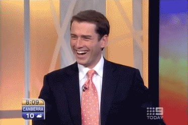 Fake Smile Karl Stefanovic GIF