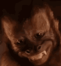 Fake Smiling Monkey GIF