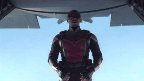Falcon Free Fall From Sky GIF