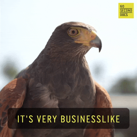 Falcon It's Very Business Like GIF