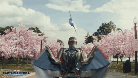 Falcon Of Avengers Spread His Wings GIF