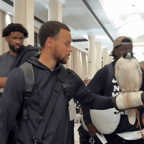 Falcon On The Hand Of Stephen Curry GIF