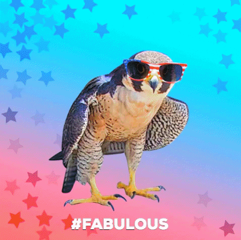 Falcon Thug Life GIF