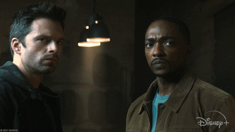 Falcon Where Do We Start GIF