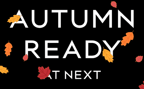 Fall Leaf Autumn Ready At Next GIF