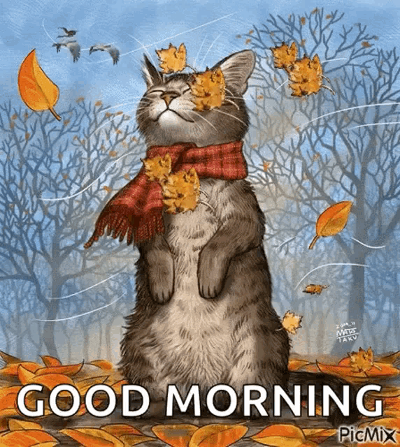 Fall Weather Autumn Gif GIF