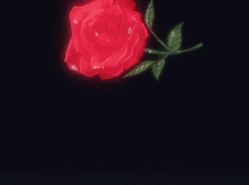 Fallen Red Rose Aesthetic GIF